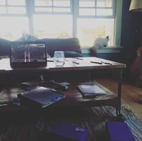 Thanks @folsom_physical_therapy for your safe and effective morning workouts that are keeping me in surf shape at six months 🤰 ! (Social distancing and staying within ten miles from home of course !)