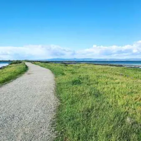 In the wake of massive beach closures I am #grateful for some wide open spaces in my backyard. #socialdistancing #selfisolation day 11